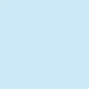 Meet your Posher, Ava